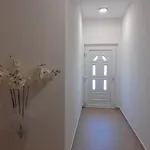Mouse أوميس